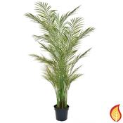 7ft (210cm) Palm Areca (Fire Resistant)