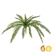 70cm Plants Boston Fern (Fire Resistant &amp; UV Protected)
