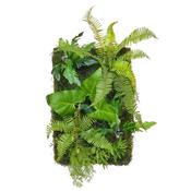 Greenwall Tropical Leaves image
