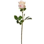 Rose White/Pink (66cm) image