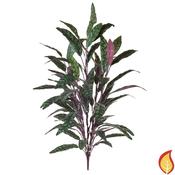 85cm Plants Peacock Bush Red and Green (Fire Resistant) image