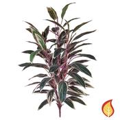 85cm Plants Caladium Bush Green/Pink (Fire Resistant) image