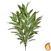 3ft (85cm) Plants Aglaonema Bush Variegated (Fire Resistant) image