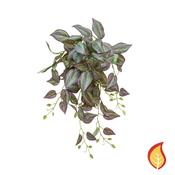 55cm Plants Tradescantia Purple (Fire Resistant) image
