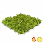 Topiary Reindeer Mat - Green (Fire Resistant &amp; UV Protected)