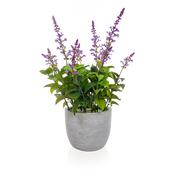 50cm Purple Lavender in Grey Pot image