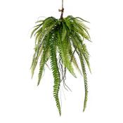 60cm Fern in Moss Ball image