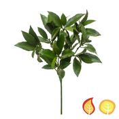 51cm Foliage Bay Laurel (Fire Resistant &amp; UV Protected)