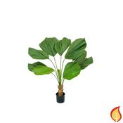 4ft (120cm) Palm Grandis (Fire Resistant) image