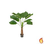 140cm Palm Grandis (Fire Resistant)