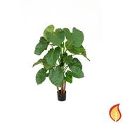 4ft (120cm) Alocasia Tree (Fire Resistant)