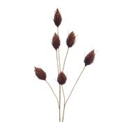 70cm Hare Tail Brown image