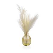 54cm Feather Grass in Vase image