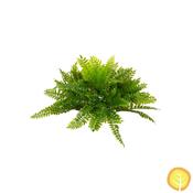 23cm Plants Boston Fern (UV Resistant) image