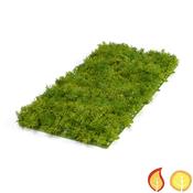 Topiary Moss Mat Green 50cm x 25cm (Fire Resistant &amp; UV Protected)