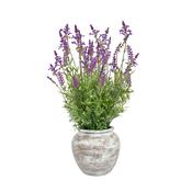 63cm Lavender Grass Mix in Pot