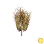 30cm Plants Acorus (UV Resistant)