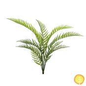82cm Plants Woodwardia Fern (UV Protected) image