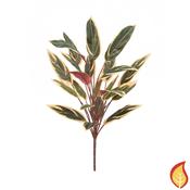 65cm Plants Caladium Bush (Fire Resistant)