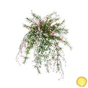 42cm I &amp; T Baby's Breath Pink White Mix (UV Resistant)