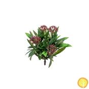 25cm Plants Flowering Plant Burgundy (UV Resistant)