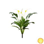 3ft (90cm) Plants Spathiphyllum (UV Protected) image