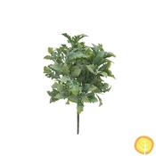 33cm Plants Jacobaea Maritima Frosted Green (UV Protected) image