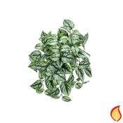 40cm I &amp; T Scindapsus (Fire Resistant) image