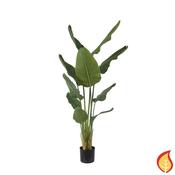 5.5ft (160cm) Palm Traveller (Fire Resistant) image