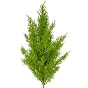 54cm Topiary Cedar Mini Pine Green