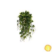 50cm I &amp; T English Ivy Bush Green (UV Protected) image