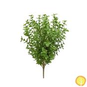 60cm Plants Boxwood Bush Green (UV Protected) image