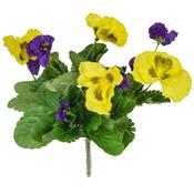 28cm Plants Flowering Pansy Mix Bush image