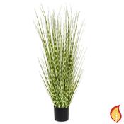 4ft (120cm) Grass Zebra Grass with Pot (Fire Resistant)