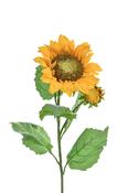 80cm Single Stem Sunflower