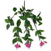 Plants Flowering Small Fuchsia Purple image