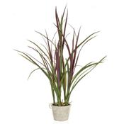 70cm Grass with Pot