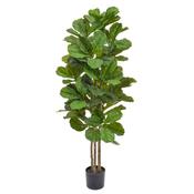 150cm Natural Tree Trunk Fiddle Tree