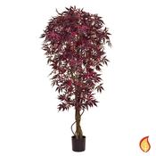 150cm (5ft) Japanese Maple Burgundy (Fire Resistant) image