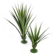 96cm Pandanus Green image
