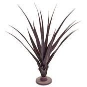 96cm Pandanus Burgundy image
