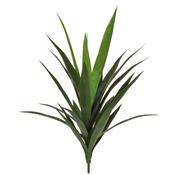 59cm Plants Green Yucca