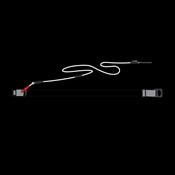 Core Wingfoil Waistbelt Leash 2.0 image
