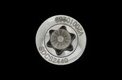 2.4MM SELF-TAPPING CORTICAL STAR DRIVE SCREW 40MM image