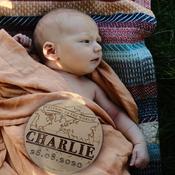 Welcome to the World-Baby Name Plaque