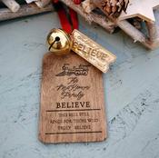 Polar Express Believe Bauble
