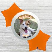 Orange Star Happy Birthday Dog Photo Bouquet image