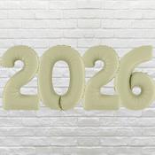 Olive Green 2026 Inflated Number Package
