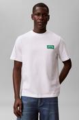 Calvin Klein 294 20s Easy College T-Shirt White image