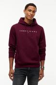 Tommy Jeans Linear Logo Hoodie Calypso Berry